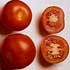 Tomat (Lycopersicon esculentum)